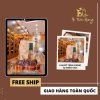 Cây Cảnh Trầm Hương – Mẫu 3