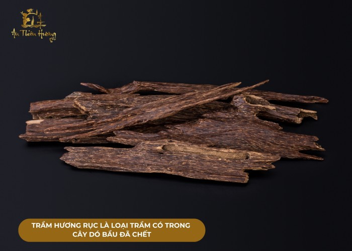 Trầm hương rục là gì? Phân loại trầm rục phổ biến hiện nay 1 trầm hương rục