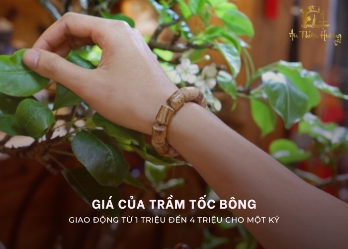 vòng trầm tốc bông