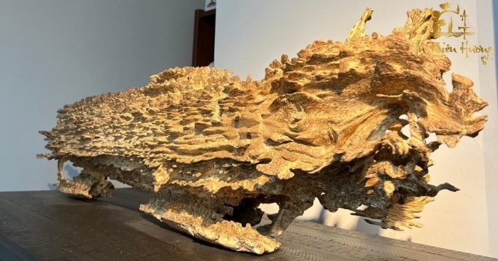 trầm tốc kiến