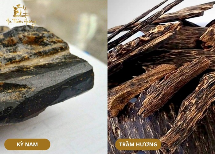 kỳ nam và trầm hương
