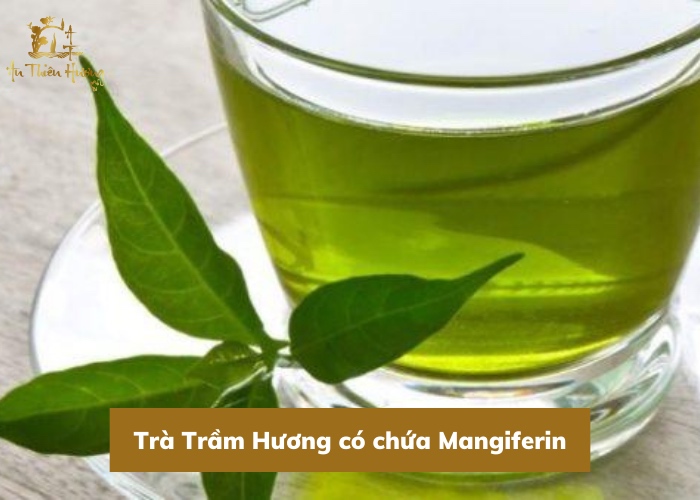 Trà Trầm Hương có chứa hoạt chất Mangiferin