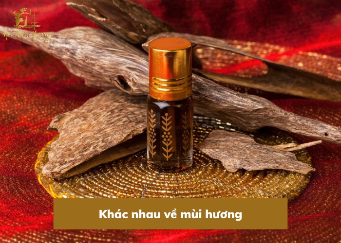 Khác nhau về mùi hương