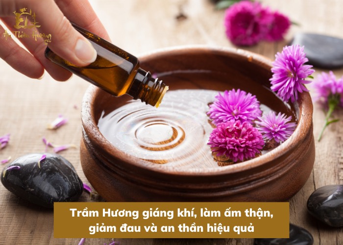 Trầm Hương là gì? Tổng hợp thông tin hữu ích về Trầm Hương 8 trầm hương