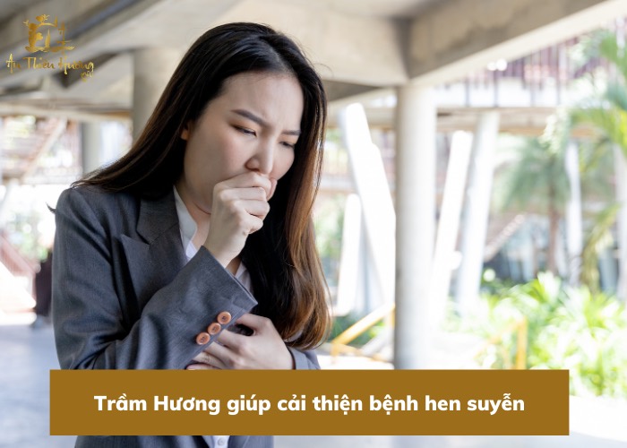 Trầm Hương là gì? Tổng hợp thông tin hữu ích về Trầm Hương 5 trầm hương