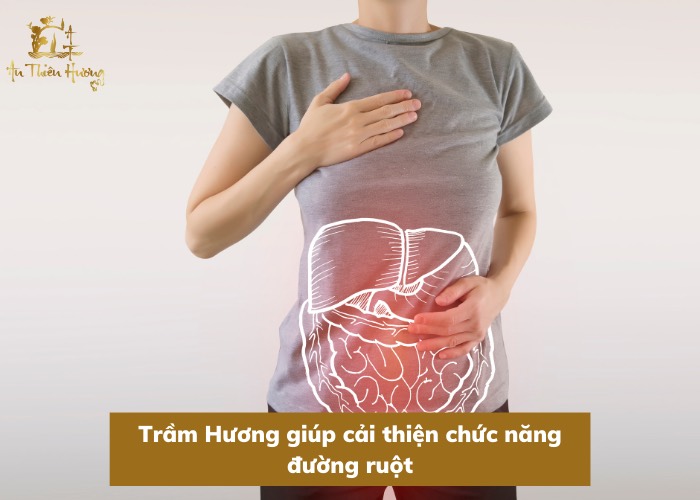 Trầm Hương là gì? Tổng hợp thông tin hữu ích về Trầm Hương 4 trầm hương