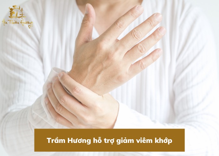 Trầm Hương là gì? Tổng hợp thông tin hữu ích về Trầm Hương 3 trầm hương