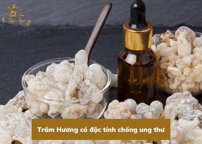 Trầm Hương là gì? Tổng hợp thông tin hữu ích về Trầm Hương 7 trầm hương