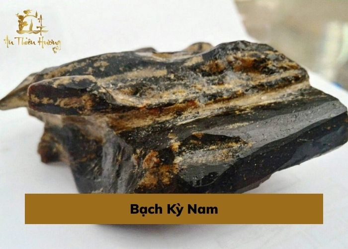 Trầm Hương là gì? Tổng hợp thông tin hữu ích về Trầm Hương 9 bạch kỳ nam