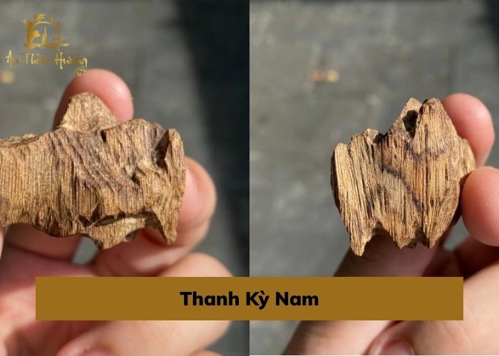 Trầm Hương là gì? Tổng hợp thông tin hữu ích về Trầm Hương 10 thanh kỳ nam