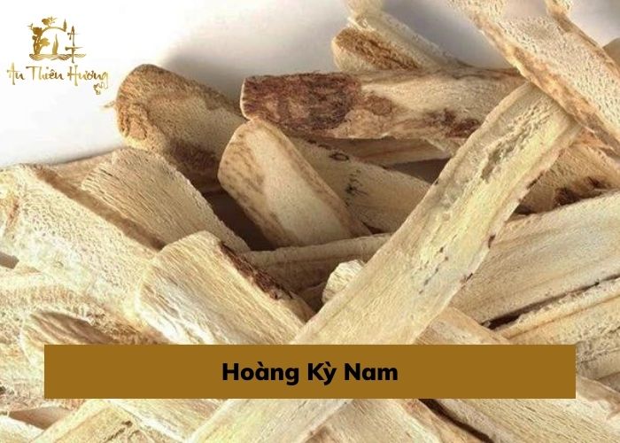 Trầm Hương là gì? Tổng hợp thông tin hữu ích về Trầm Hương 11 hoàng kỳ nam