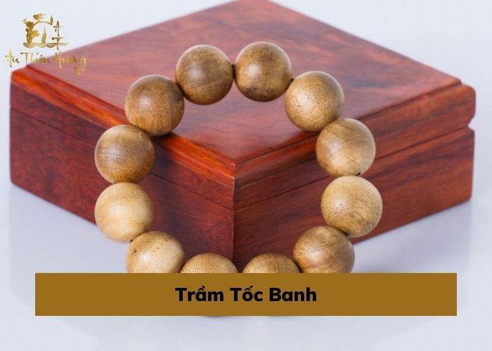 Trầm Hương là gì? Tổng hợp thông tin hữu ích về Trầm Hương 12 trầm tốc banh