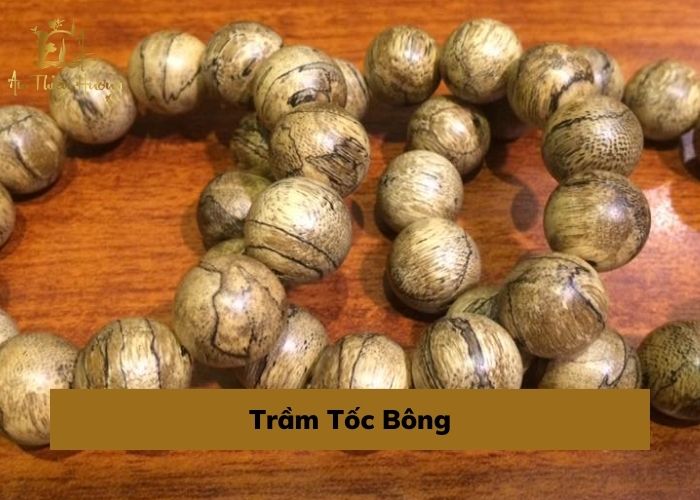 Trầm Hương là gì? Tổng hợp thông tin hữu ích về Trầm Hương 13 trầm tốc bông