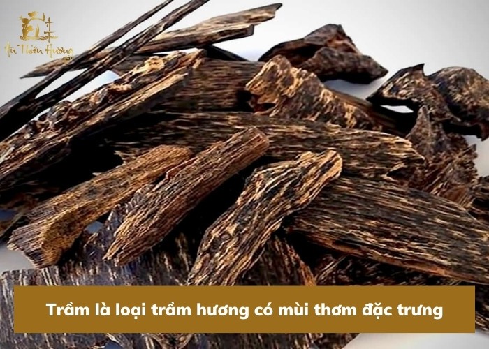xứ sở trầm hương